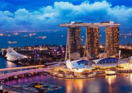 森林舞会电玩城最新版