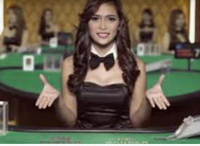 森林舞会电玩城2024最新版